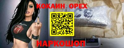 мдпв Партизанск