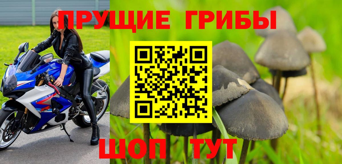Псилоцибиновые грибы Magic Shrooms Реж